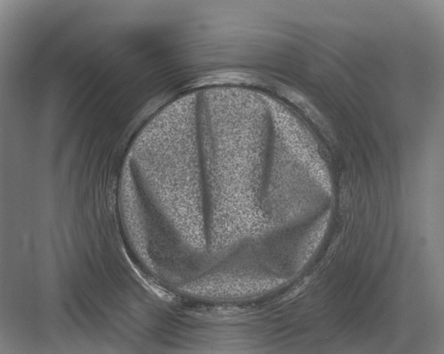 X0000082761233200702162017