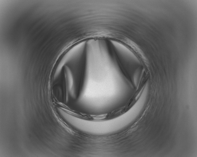 X0000082761234200702162017