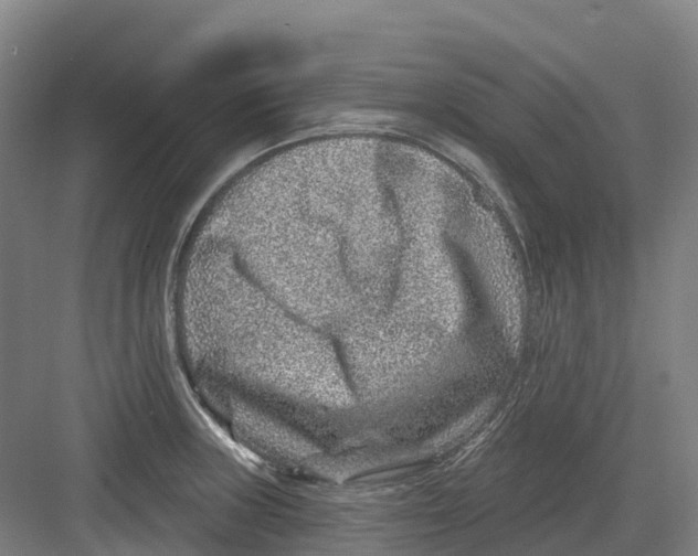 X0000082761235200702162017