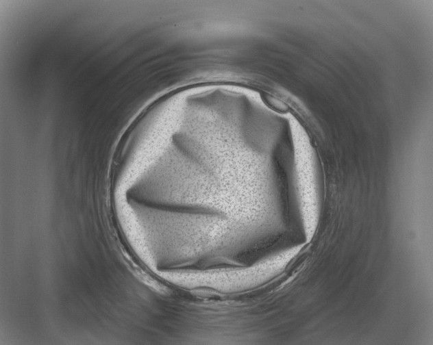 X0000082761236200702162017