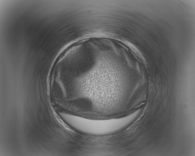 X0000082761238200702162017