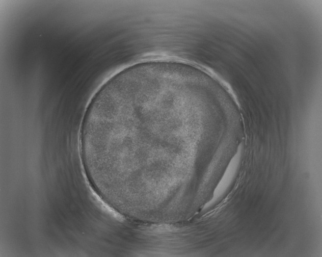 X0000082761239200702162017