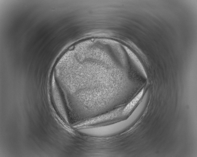 X0000082761240200702162017