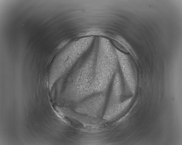 X0000082761241200702162017