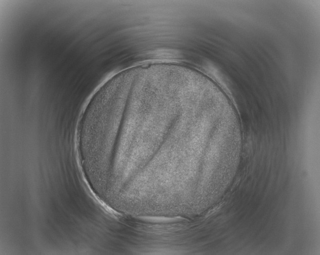 X0000082761243200702162017