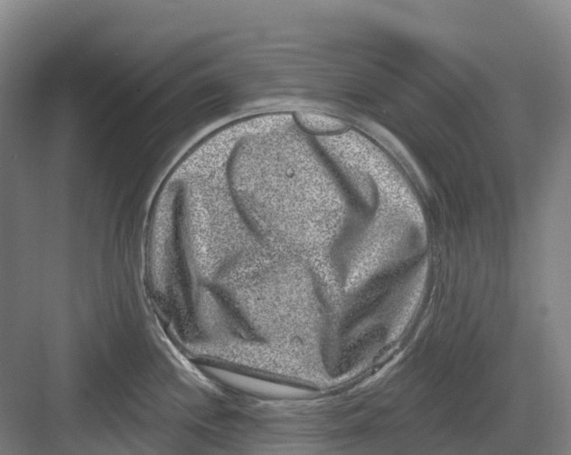 X0000082761244200702162017