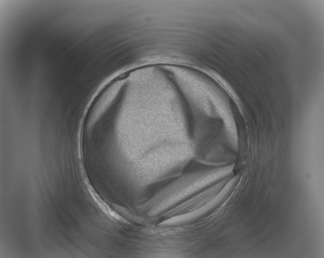 X0000082761246200702162017