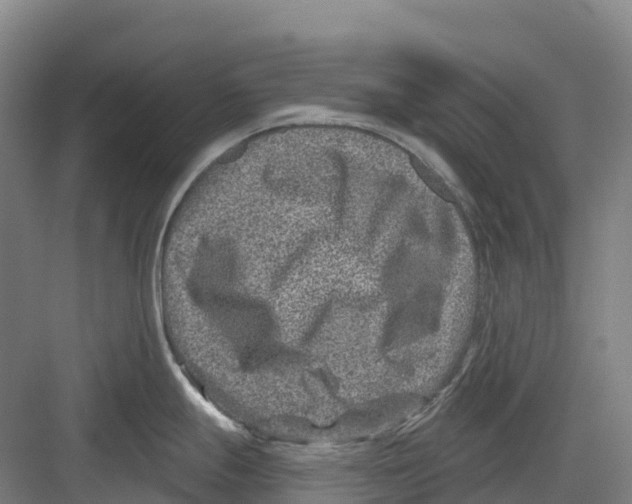 X0000082761247200702162017