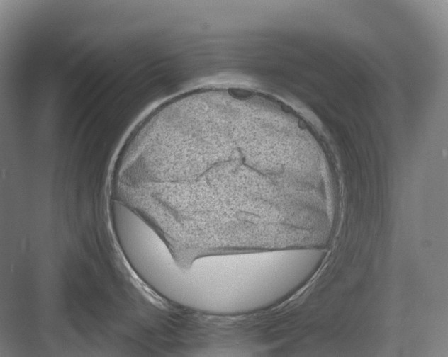 X0000082761248200702162017