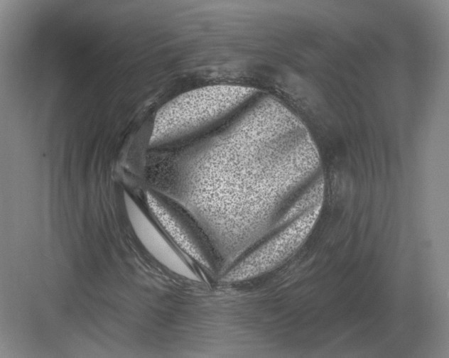 X0000082761250200702162016