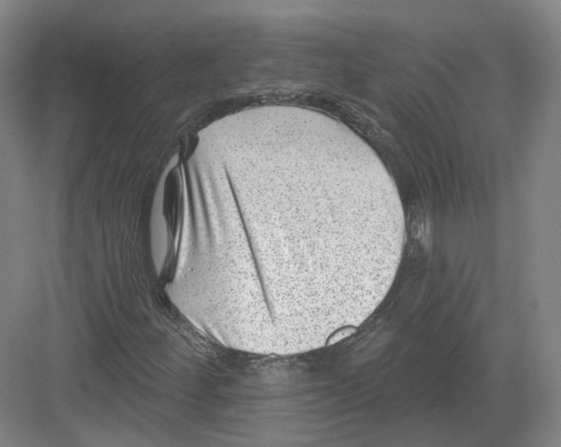 X0000082761252200702162016