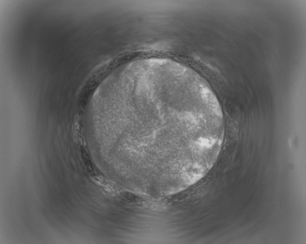 X0000082761254200702162016