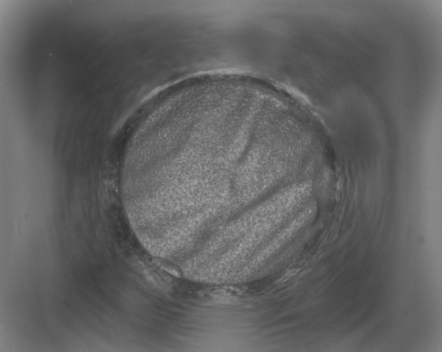 X0000082761255200702162016