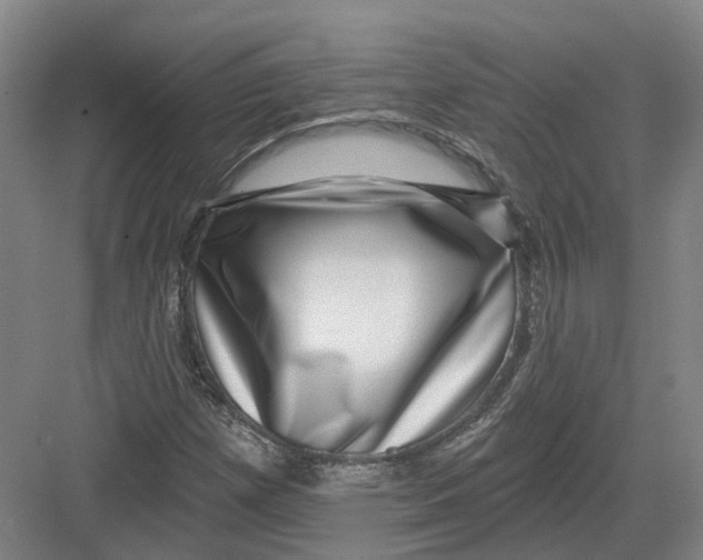 X0000082761257200702162016