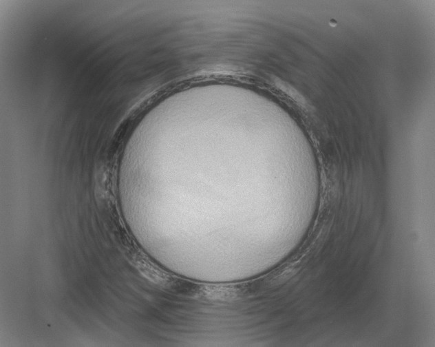 X0000082761258200702162016