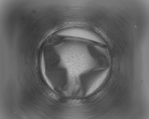 X0000082761261200702162016