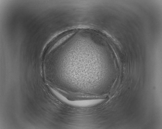 X0000082761262200702162016