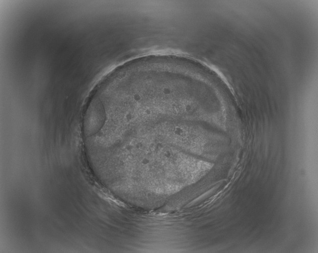 X0000082761263200702162016