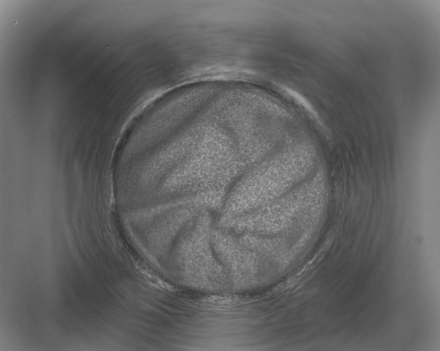 X0000082761267200702162016