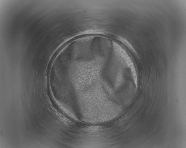 X0000082761268200702162016