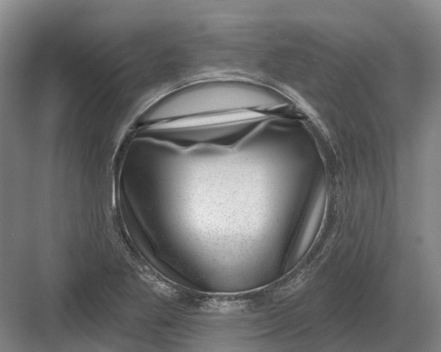 X0000082761269200702162016