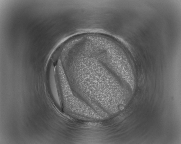 X0000082761271200702162016