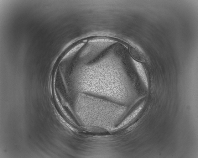 X0000082761272200702162016