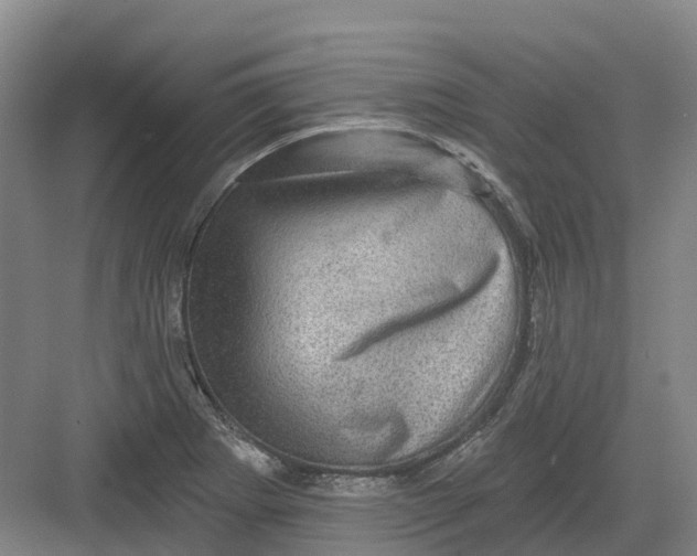 X0000082761273200702162016