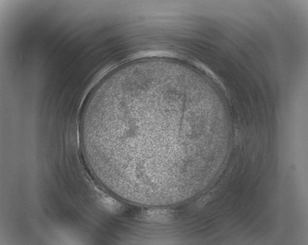 X0000082761274200702162016