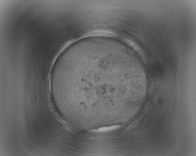 X0000082761275200702162016