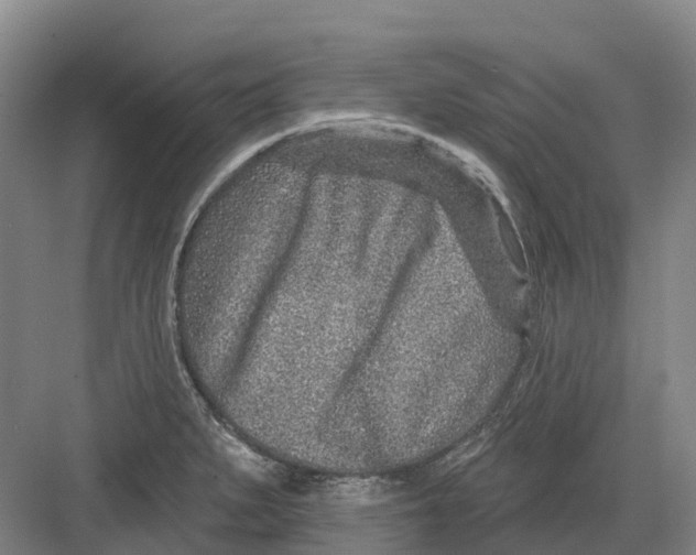 X0000082761279200702162016