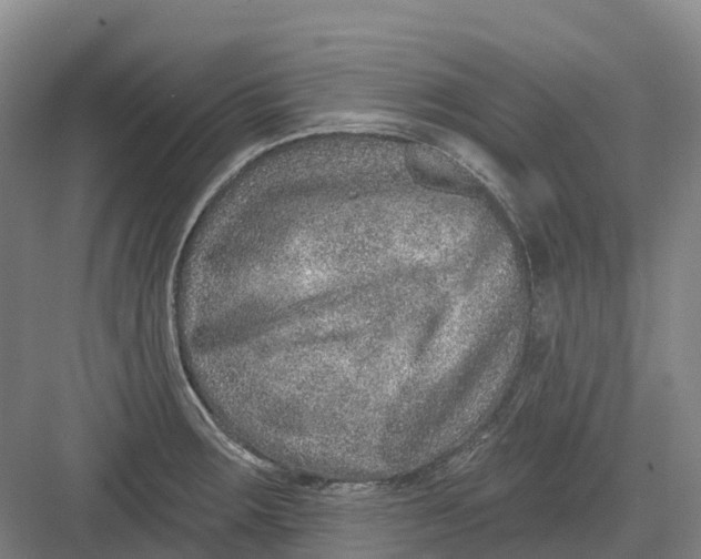 X0000082761283200702162016