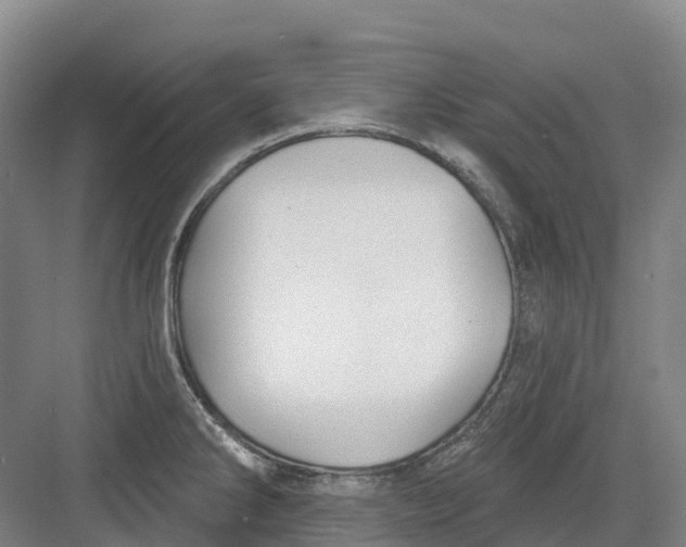 X0000082761286200702162016