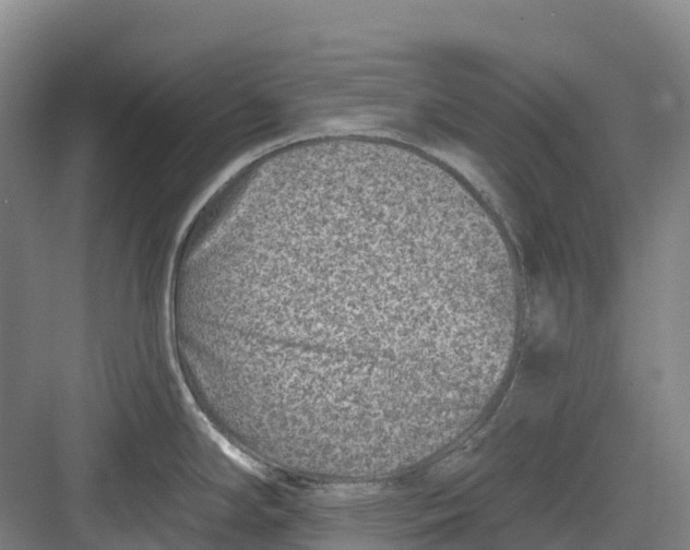 X0000082761294200702162015