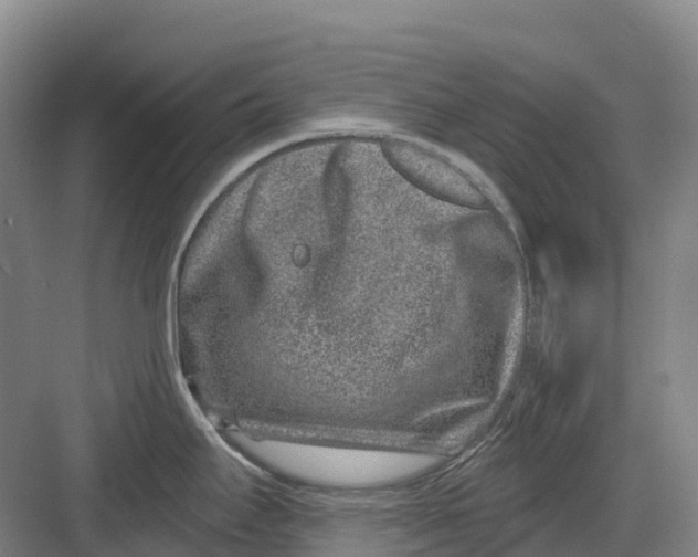 X0000082761295200702162015