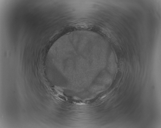 X0000082761297200702162015