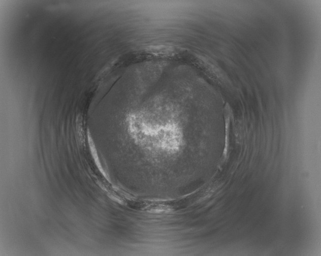 X0000082761298200702162015