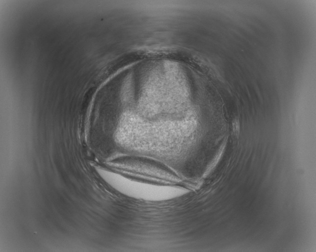 X0000082761300200702162015