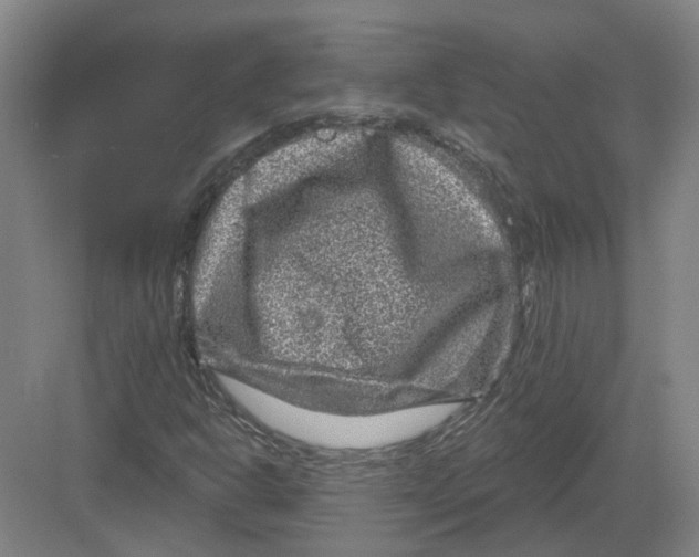 X0000082761302200702162015