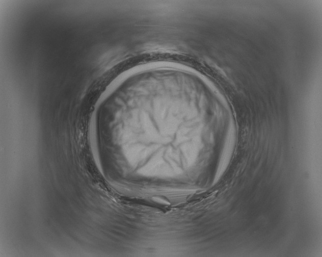 X0000082761303200702162015