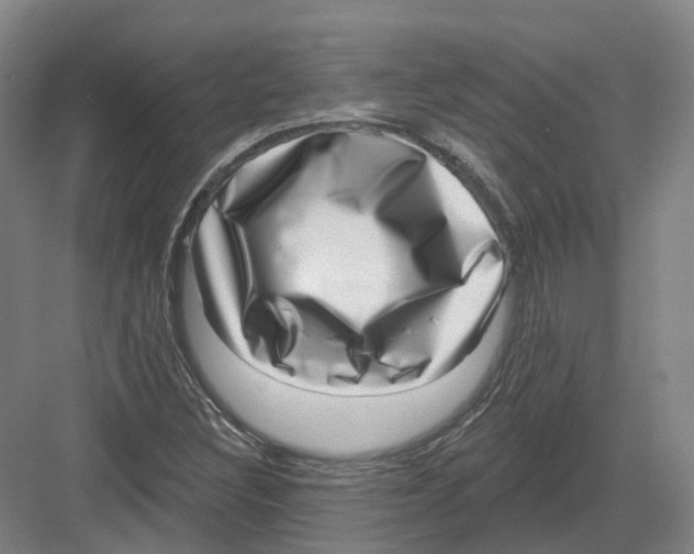 X0000082761308200702162015