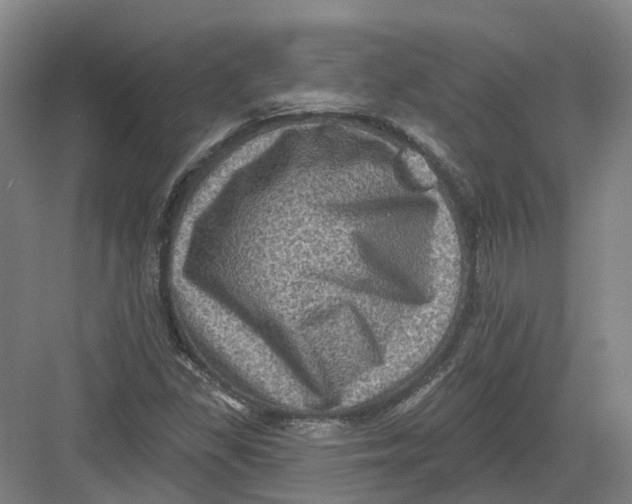 X0000082761309200702162015