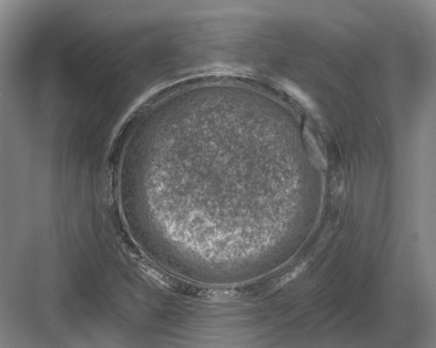 X0000082761310200702162015