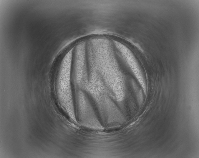 X0000082761311200702162015