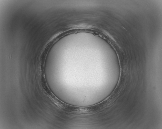 X0000082761315200702162015