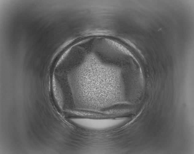 X0000082761317200702162015