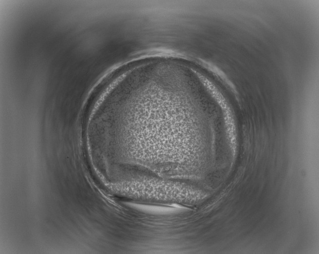 X0000082761318200702162015