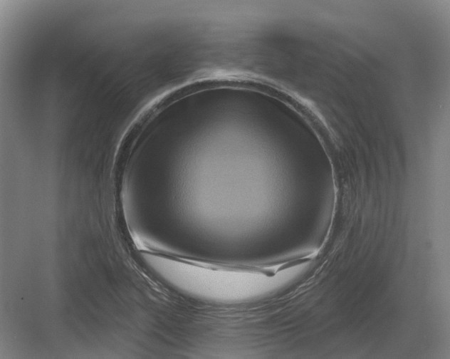 X0000082761319200702162015