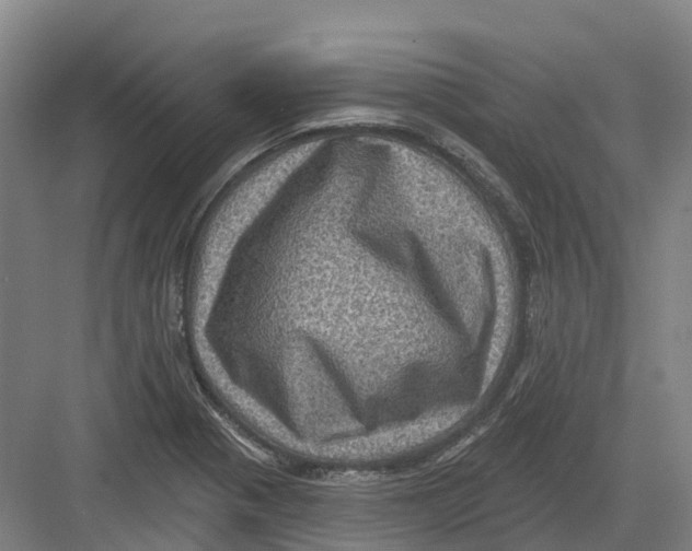 X0000082761321200702162015