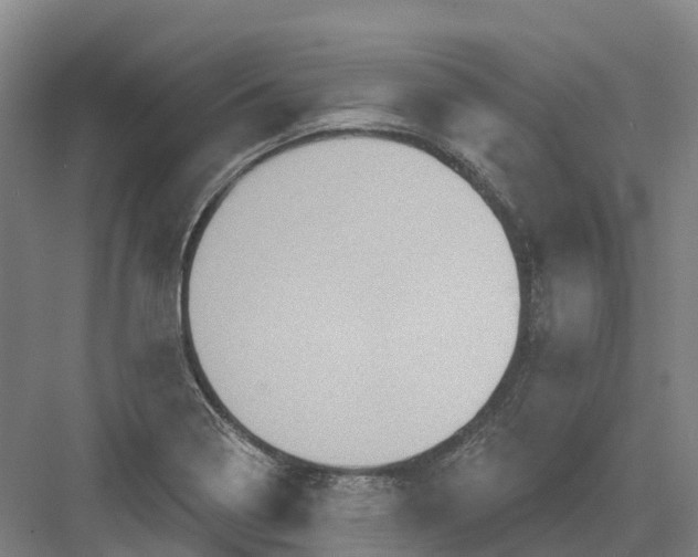 X0000082761322200702162015